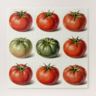 Puzzle Variedad de Tomate Antiguo Botánico Grid 