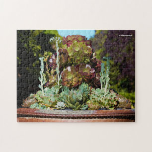 Puzzle Varios sucesivos en grandes plantadores