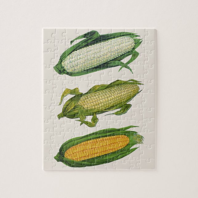 Puzzle Vegetales sanos para alimentos de época, maíz fres (Vertical)