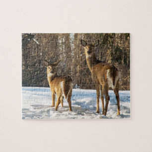 Puzzle Venado de cola blanca en nieve