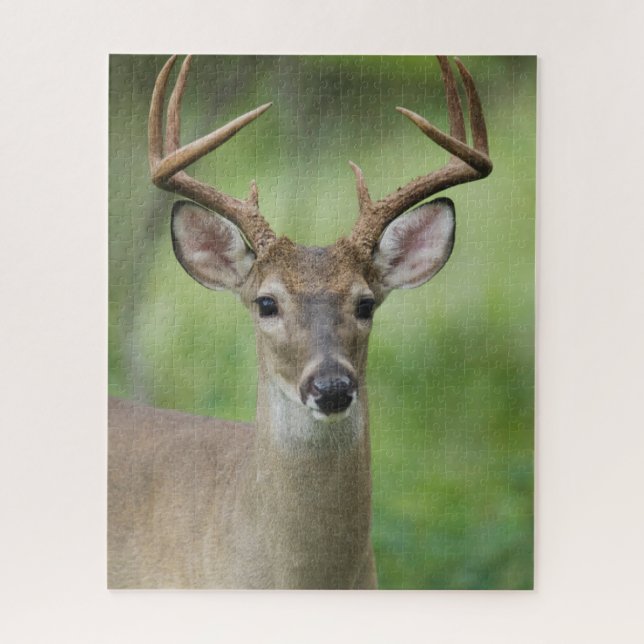 Puzzle Venado de cola blanca | Hill Country, Texas (Vertical)