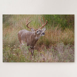 Puzzle Venado de cola blanca Otoño en Texas