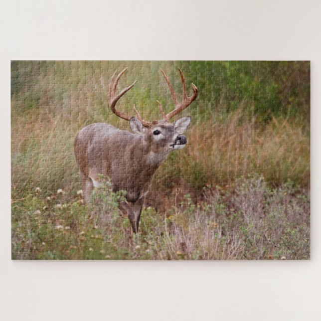 Puzzle Venado de cola blanca Otoño en Texas (Horizontal)
