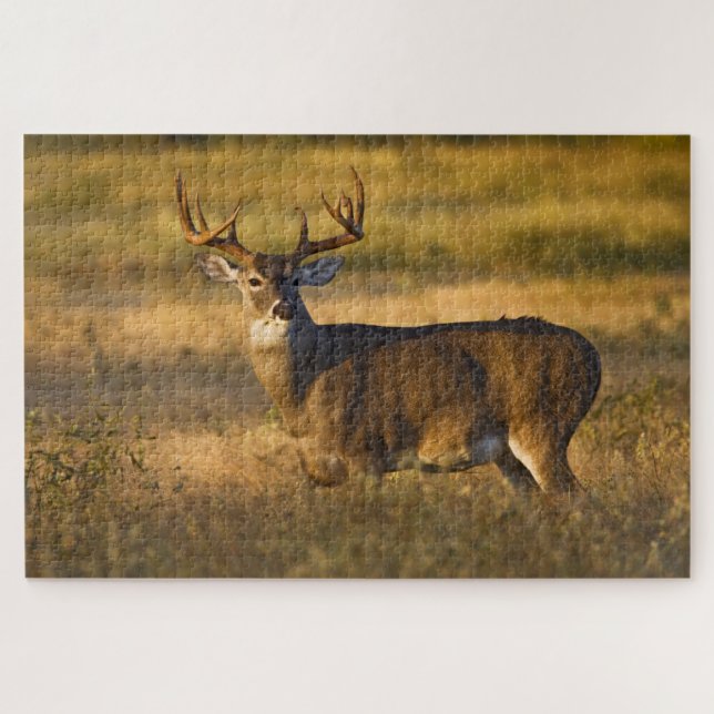 Puzzle Venado de cola blanca | Texas del Sur (Horizontal)