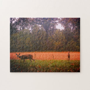 Puzzle Venado Whitetail En Campo