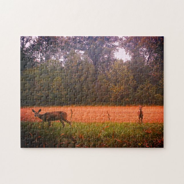 Puzzle Venado Whitetail En Campo (Horizontal)