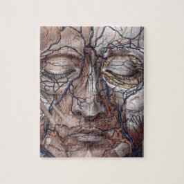 Puzzle Venas y músculos principales