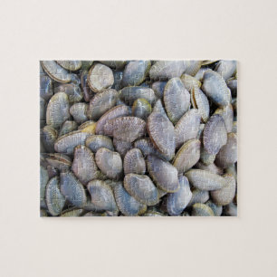 Puzzle Venus Clam [ห อ ย ล า ย]