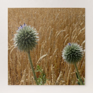Puzzle verano, agricultura, campo, naturaleza, paisaje,