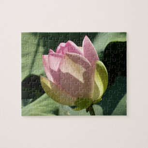 Puzzle Verano de flores rosadas de Lotus