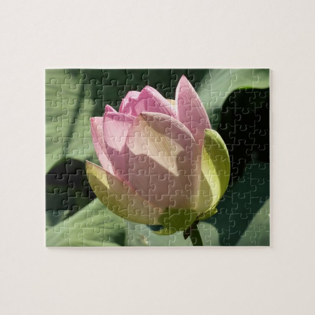 Puzzle Verano de flores rosadas de Lotus (Horizontal)