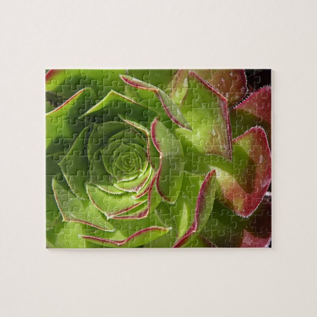 Puzzle Verde (Horizontal)