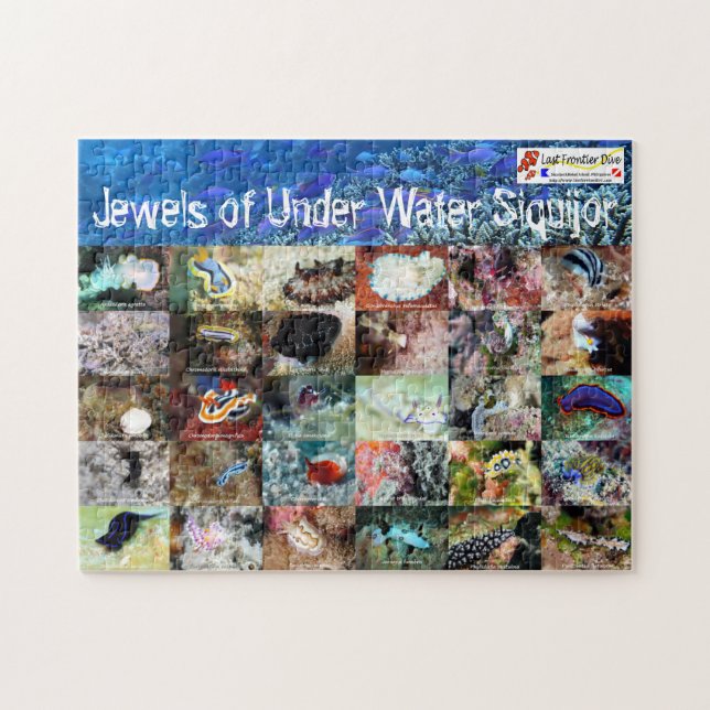 Puzzle Versión en inglés: Joyas de Under Water Siquijor (Horizontal)