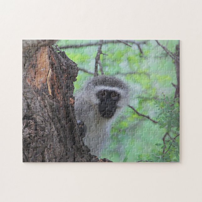 Puzzle Vervet Monkey (Horizontal)