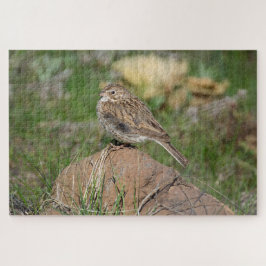 Puzzle Vesper Sparrow