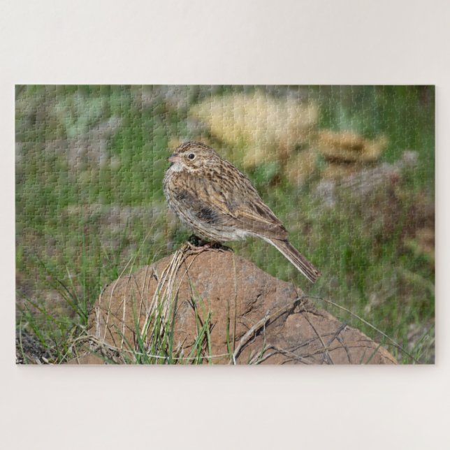 Puzzle Vesper Sparrow (Horizontal)