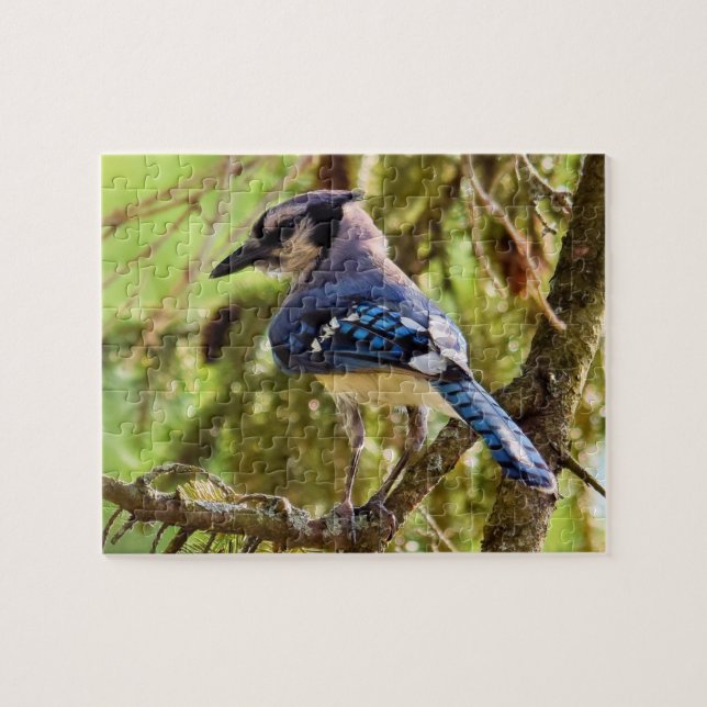 Puzzle Vibrant Backyard Blue Jay - 8x10 - 110 pc. (Horizontal)