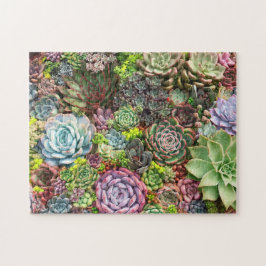 Puzzle Vibrant Succulent Garden
