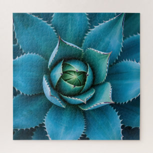 Puzzle Vibrante Agave Suculento Geométrico Verde Azulado