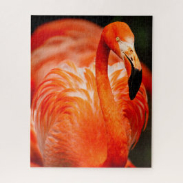 Puzzle Vibrante ave salvaje Flamingo