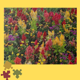 Puzzle Vibrante jardín de flores de verano en Orlando Flo