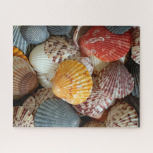 Puzzle Vibrantes vieiras