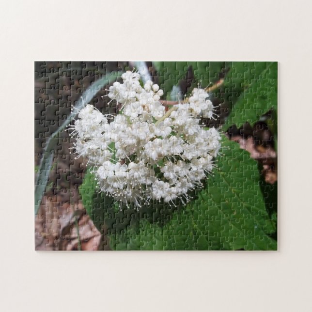 Puzzle Viburnum de la hoja de arce (Horizontal)