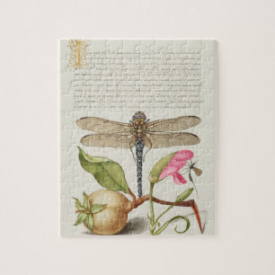 Puzzle Vida de jardín, libélula, pera, clavel e insecto