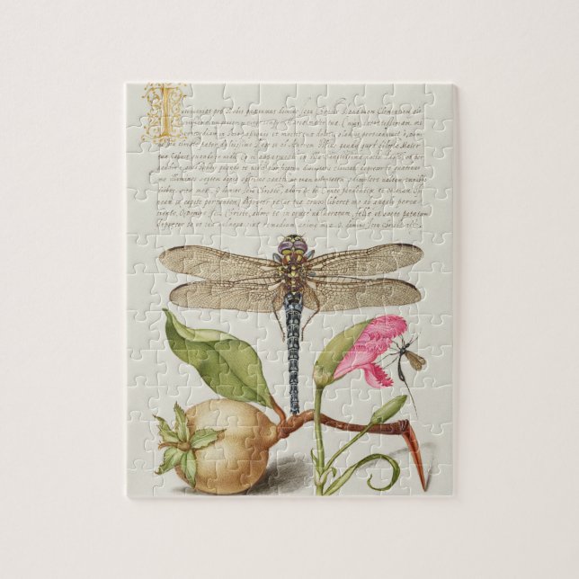 Puzzle Vida de jardín, libélula, pera, clavel e insecto (Vertical)