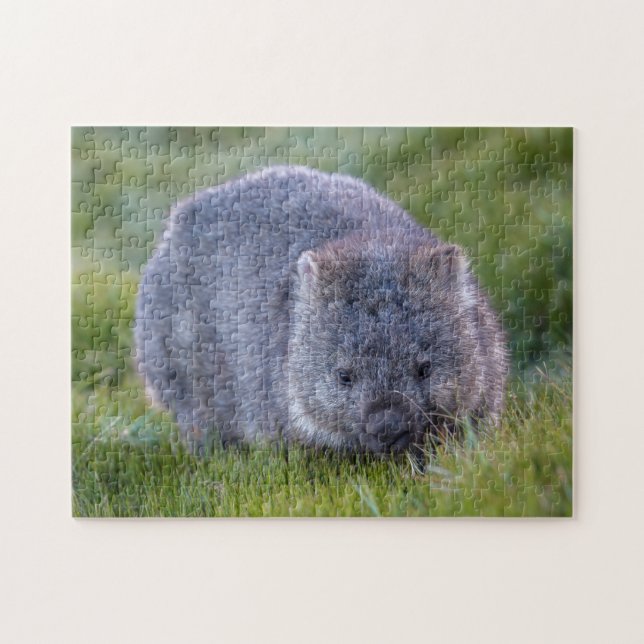 Puzzle Vida salvaje animal de Wombat exótica, 252 piezas (Horizontal)