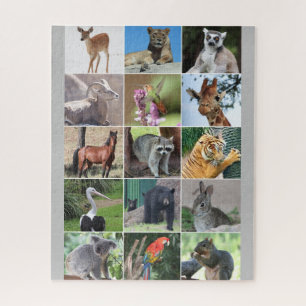 Puzzle Vida silvestre 15 animales en el salvaje rompecabe