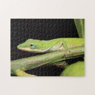 Puzzle Vida silvestre de la naturaleza de Anole Lizard