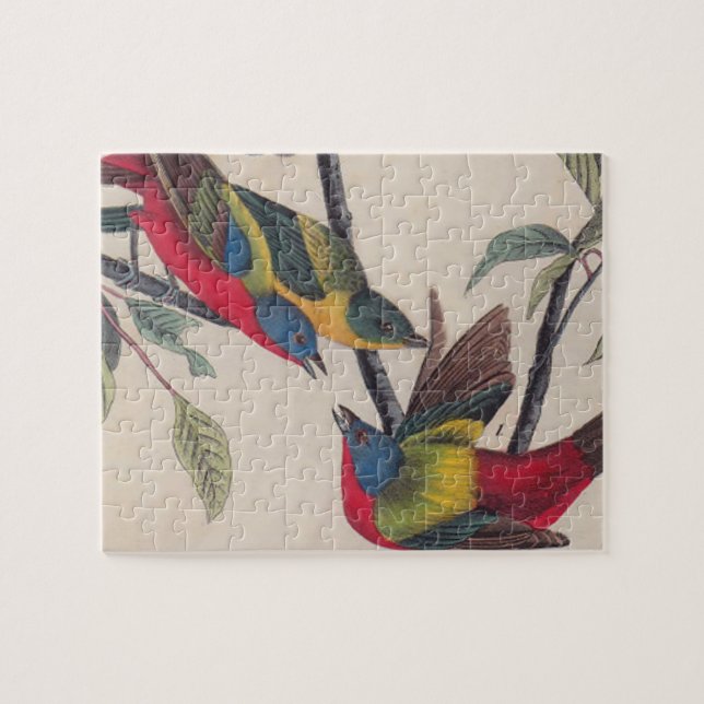 Puzzle Vida silvestre de las aves de Bunting de Audubon (Horizontal)