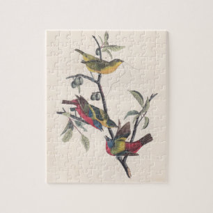 Puzzle Vida silvestre de las aves de Bunting de Audubon