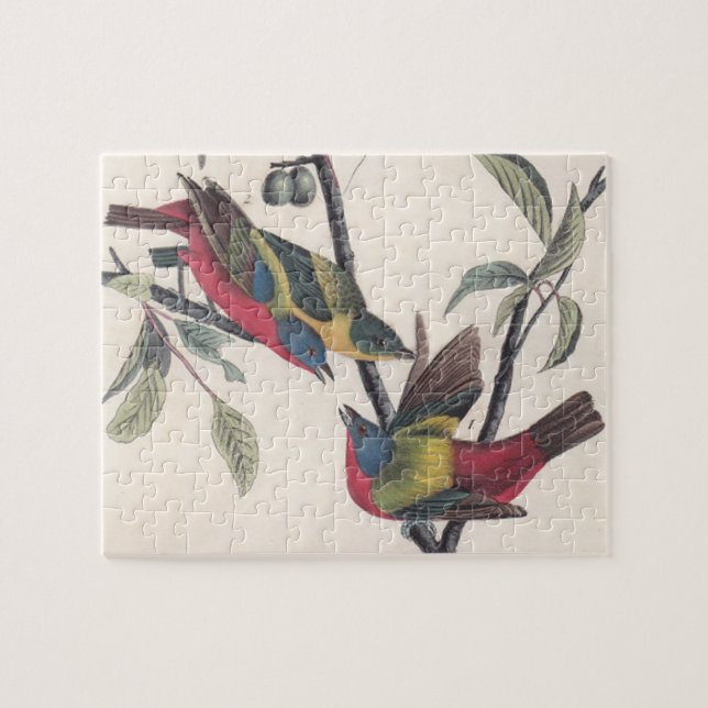 Puzzle Vida silvestre de las aves de Bunting de Audubon (Horizontal)