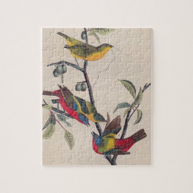 Puzzle Vida silvestre de las aves de Bunting de Audubon (Vertical)