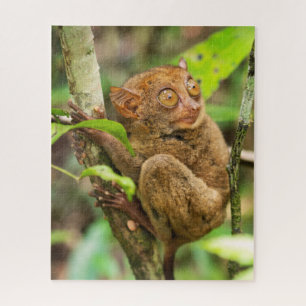Puzzle Vida silvestre Tarsier Monkey