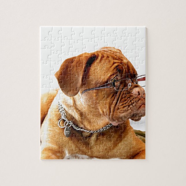 Puzzle vidrios que llevan del perro de dogue de bordeaux (Vertical)