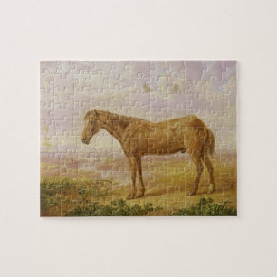 Puzzle Viejo Billy, un caballo de proyecto, envejecido 62