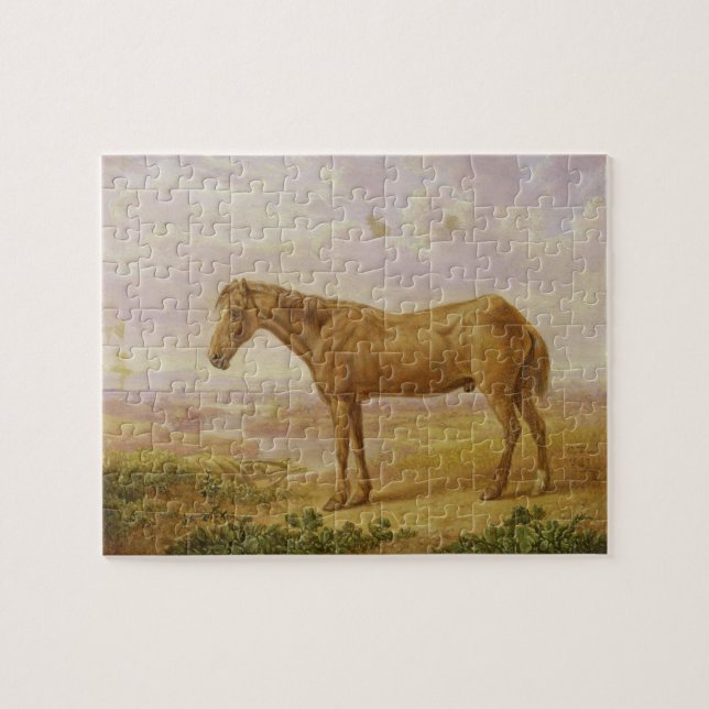 Puzzle Viejo Billy, un caballo de proyecto, envejecido 62 (Horizontal)