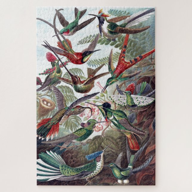 Puzzle Viejo Ilustracion de libros de Hummingbirds (Vertical)