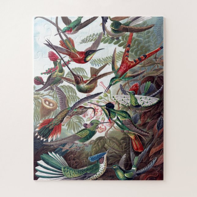 Puzzle Viejo Ilustracion de libros de Hummingbirds (Vertical)