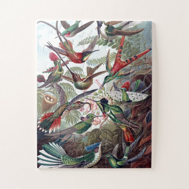 Puzzle Viejo Ilustracion de libros de Hummingbirds (Vertical)