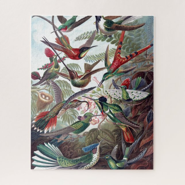Puzzle Viejo Ilustracion de libros de Hummingbirds (Vertical)
