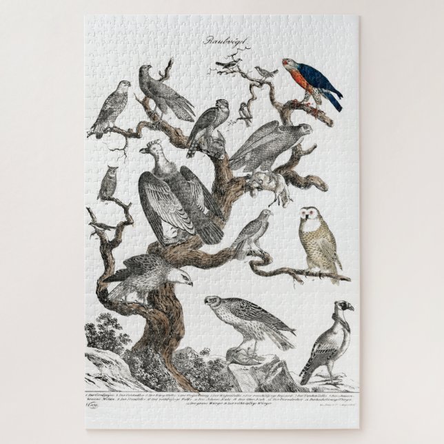 Puzzle Viejos pájaros Ilustracion de libros arte (Vertical)