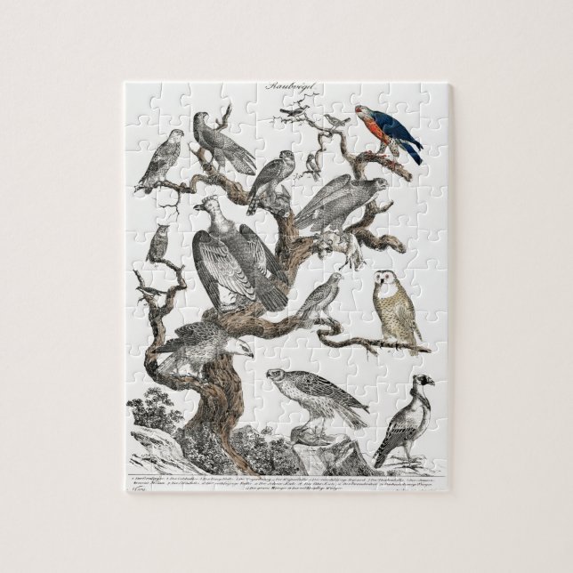 Puzzle Viejos pájaros Ilustracion de libros arte (Vertical)