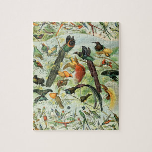 Puzzle Viejos pájaros Viejos libros Ilustraciones Animale
