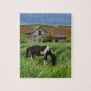 Puzzle Viendo caballos en un campo en el Palouse 2