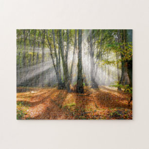 Puzzle Vigas de sol en un bosque de hayas en otoño -
