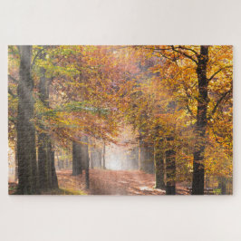 Puzzle Vigas de sol en un bosque otoñal